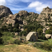 Tafoni Granitfelsen der Gallura