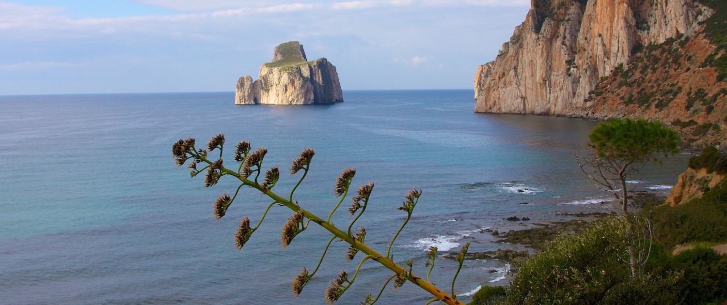 Pan di Zucchero