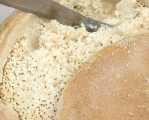 Casu marzu formaggio sardo